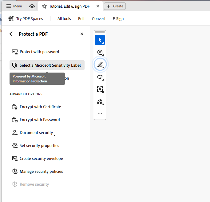 Select a Microsoft Sensitivity Label